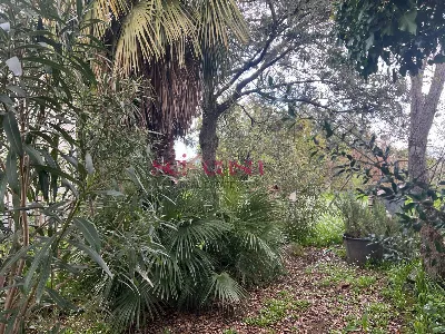 Rustico/Casale in vendita a Roccastrada - foto 4