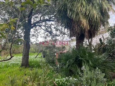 Rustico/Casale in vendita a Roccastrada - foto 5