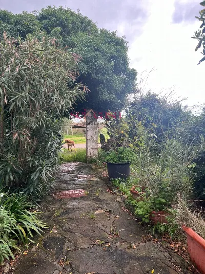 Rustico/Casale in vendita a Roccastrada - foto 9