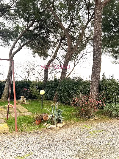 Rustico/Casale in vendita a Campagnatico - foto 10