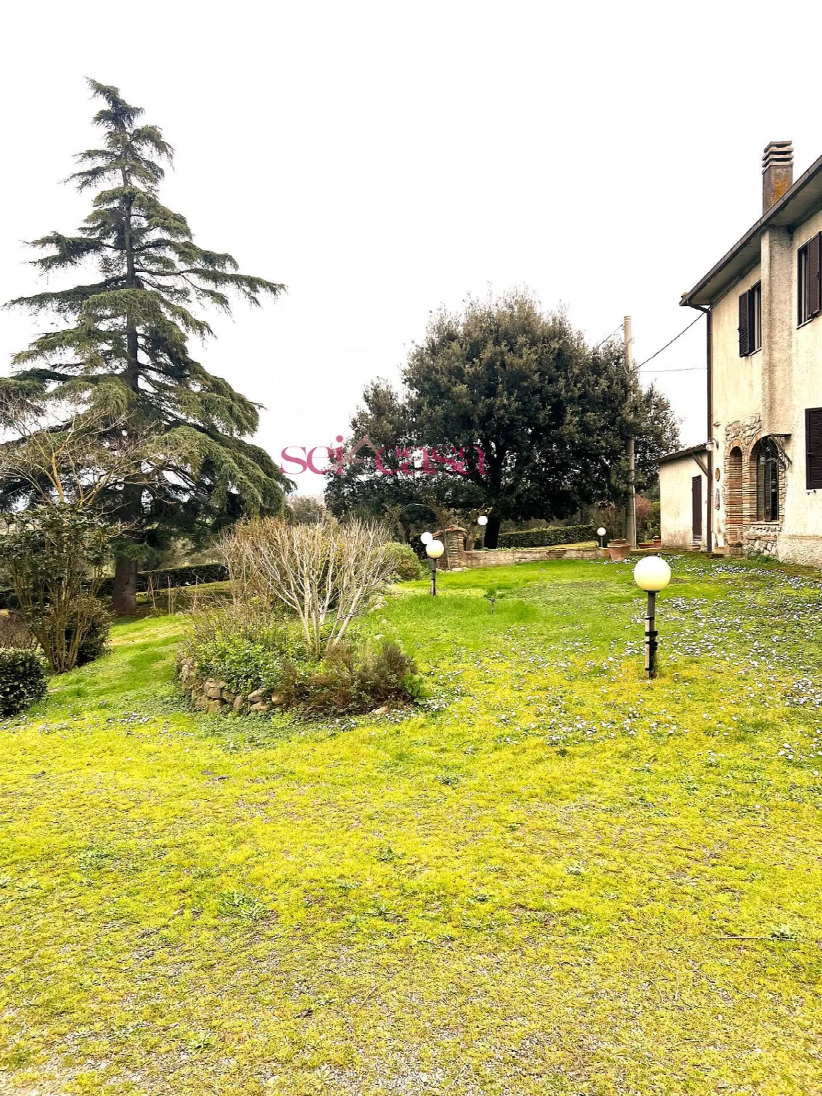 Rustico/Casale in vendita a Campagnatico - foto 5