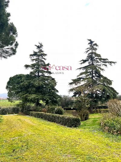 Rustico/Casale in vendita a Campagnatico - foto 6