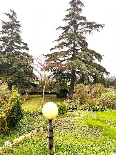 Rustico/Casale in vendita a Campagnatico - foto 7