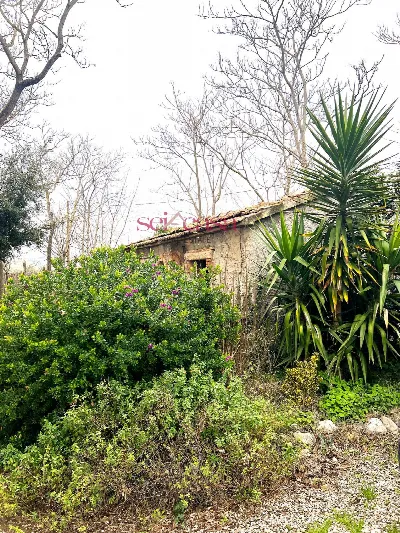 Rustico/Casale in vendita a Campagnatico - foto 9
