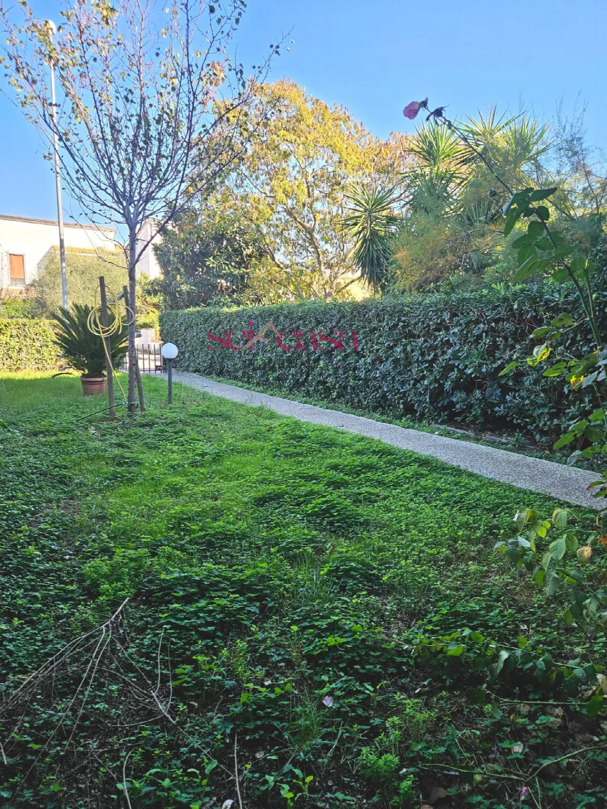 Casa Indipendente in vendita a Grosseto, Grosseto Nord - foto 4