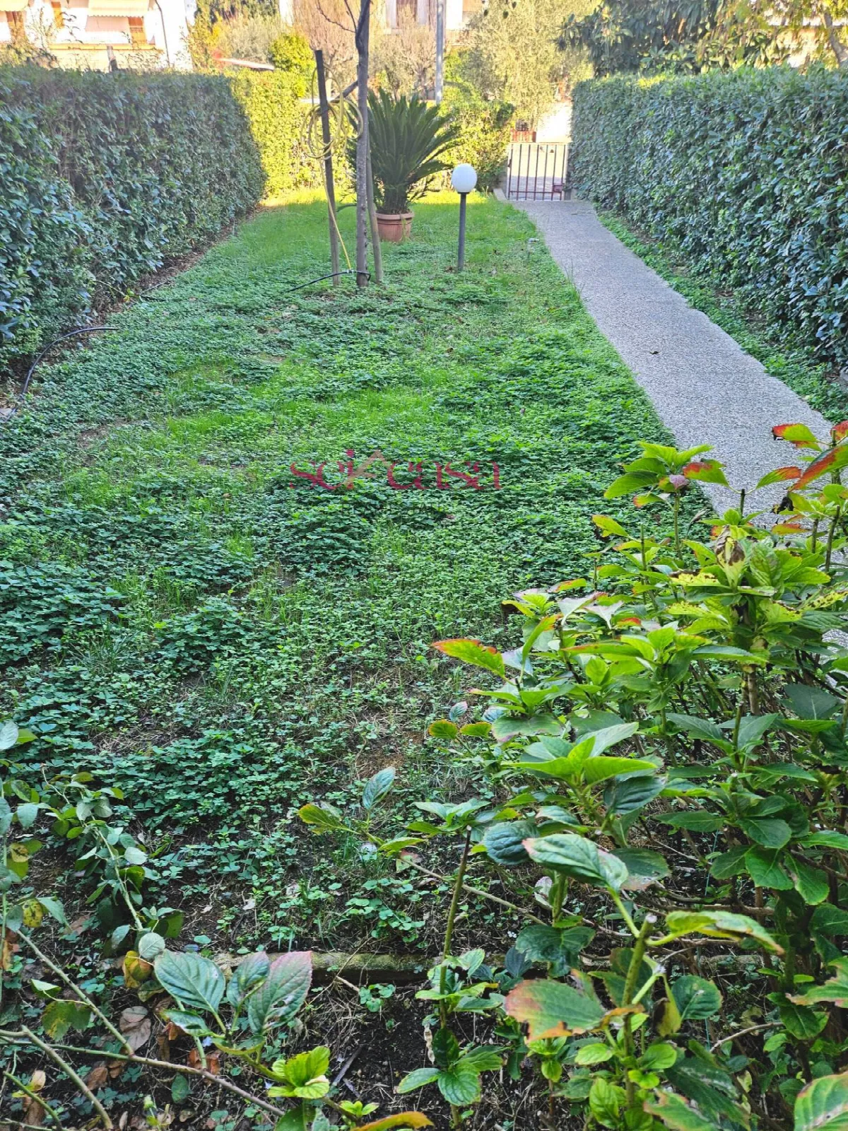 Casa Indipendente in vendita a Grosseto, Grosseto Nord - foto 5