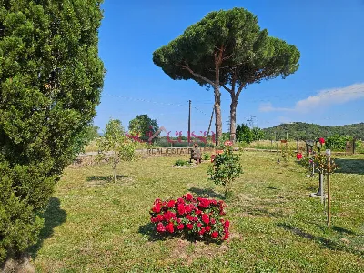 Rustico/Casale in vendita a Grosseto, Gros... - foto 3
