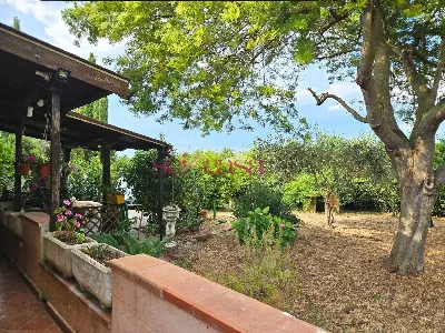 Rustico/Casale in vendita a Grosseto, Gros... - foto 2