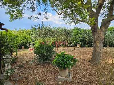 Rustico/Casale in vendita a Grosseto, Gros... - foto 4