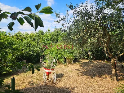 Rustico/Casale in vendita a Grosseto, Gros... - foto 5