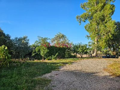 Rustico/Casale in vendita a Cinigiano - foto 4