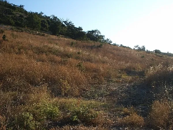 Rustico/Casale in vendita a Lupara - foto 2