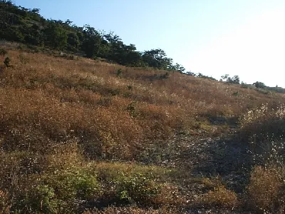 Rustico/Casale in vendita a Lupara - foto 2