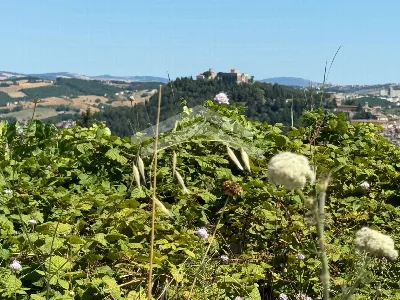 Villa in vendita a Campobasso - foto 4
