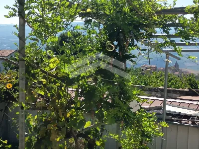 Casa Indipendente in vendita a Castelbotta... - foto 4