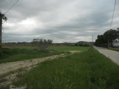 Rustico/Casale in vendita a Controguerra - foto 3