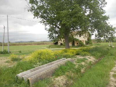 Rustico/Casale in vendita a Controguerra - foto 5