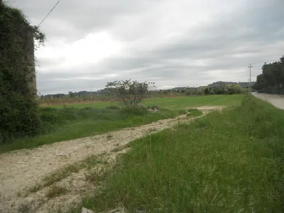 Rustico/Casale in vendita a Controguerra - foto 8