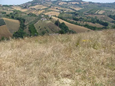Rustico/Casale in vendita a Controguerra - foto 3
