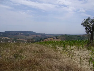 Rustico/Casale in vendita a Controguerra - foto 4