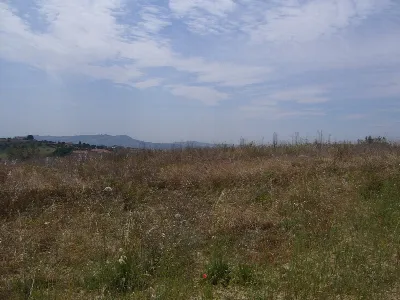 Rustico/Casale in vendita a Controguerra - foto 6