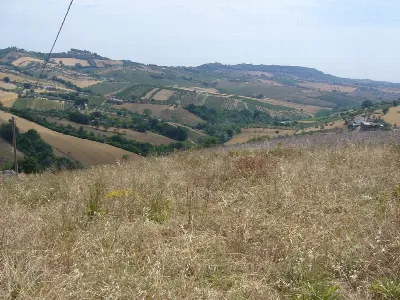 Rustico/Casale in vendita a Controguerra - foto 7