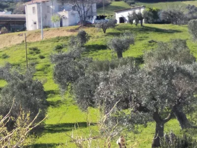 Rustico/Casale in vendita a Tortoreto - foto 9