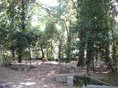 Villa in vendita a Colli del Tronto - foto 2