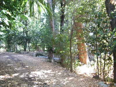 Villa in vendita a Colli del Tronto - foto 3