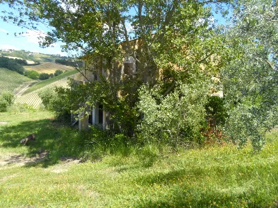 Rustico/Casale in vendita a Carassai - foto 10