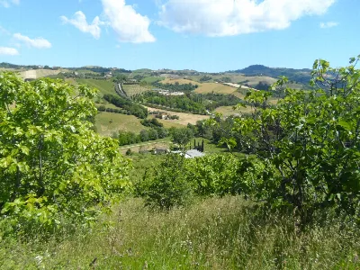 Rustico/Casale in vendita a Carassai - foto 8
