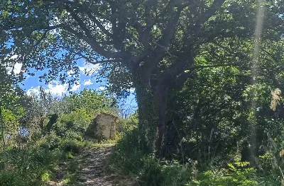 Rustico/Casale in vendita a Massignano - foto 1