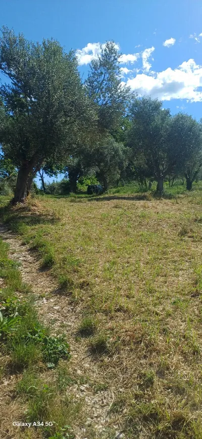 Rustico/Casale in vendita a Massignano - foto 3
