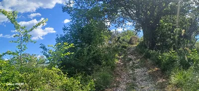 Rustico/Casale in vendita a Massignano - foto 4