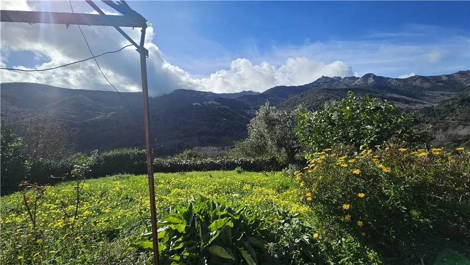 Rustico/Casale in vendita a Marciana - foto 3
