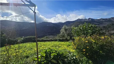Rustico/Casale in vendita a Marciana - foto 3