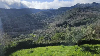 Rustico/Casale in vendita a Marciana - foto 6