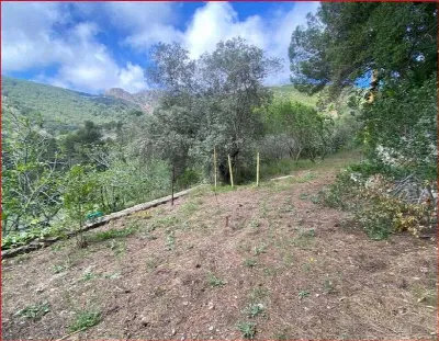 Villa in vendita a Porto Azzurro - foto 8