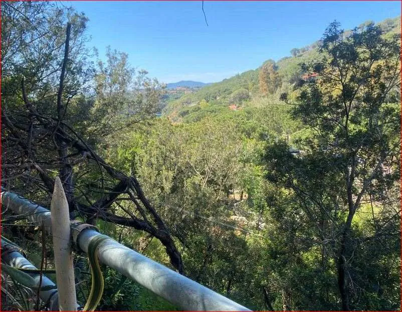 Rustico/Casale in vendita a Capoliveri - foto 4