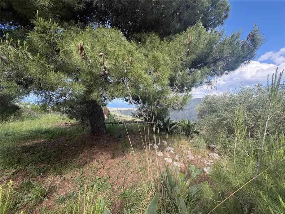Rustico/Casale in vendita a Casteldaccia - foto 3