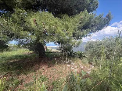 Rustico/Casale in vendita a Casteldaccia - foto 3