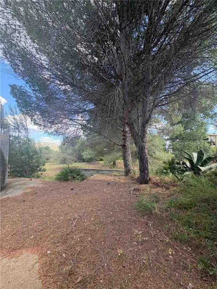 Rustico/Casale in vendita a Casteldaccia - foto 4