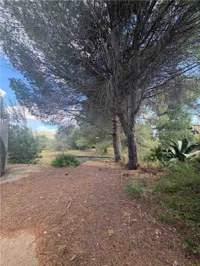 Rustico/Casale in vendita a Casteldaccia - foto 4