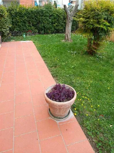 Villa in vendita a Fucecchio - foto 2
