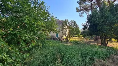 Rustico/Casale in vendita a Fucecchio - foto 3