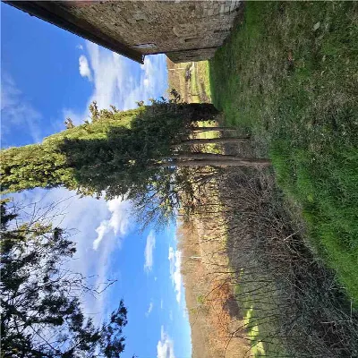 Rustico/Casale in vendita a Monte Santa Ma... - foto 7