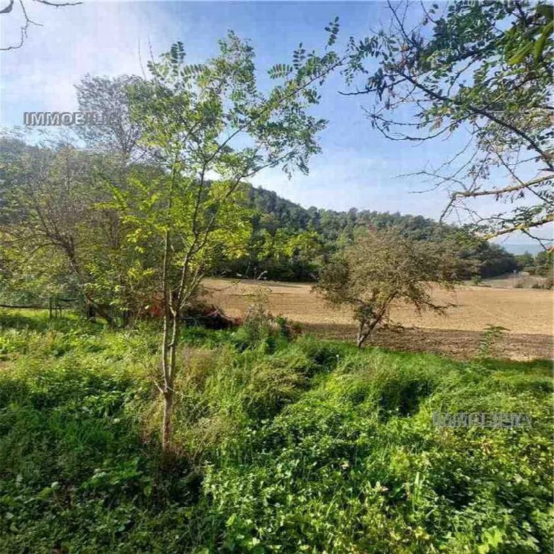 Rustico/Casale in vendita a Citerna - foto 9
