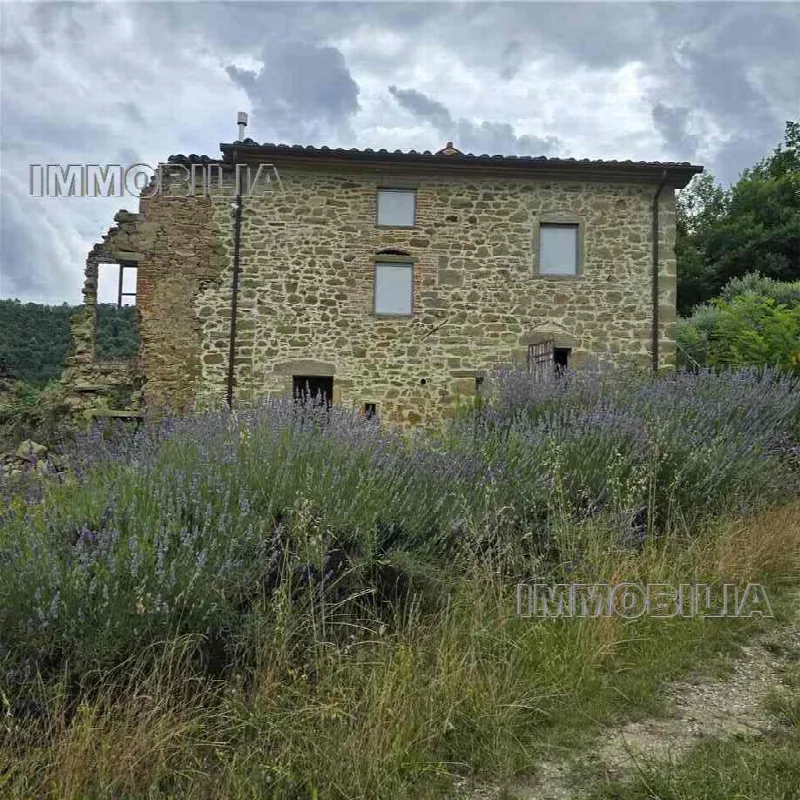 Rustico/Casale in vendita a Monterchi - foto 1
