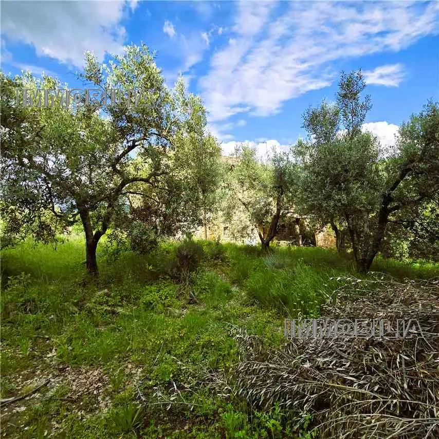 Rustico/Casale in vendita a Monterchi - foto 3