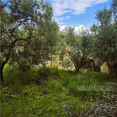 Rustico/Casale in vendita a Monterchi - foto 4